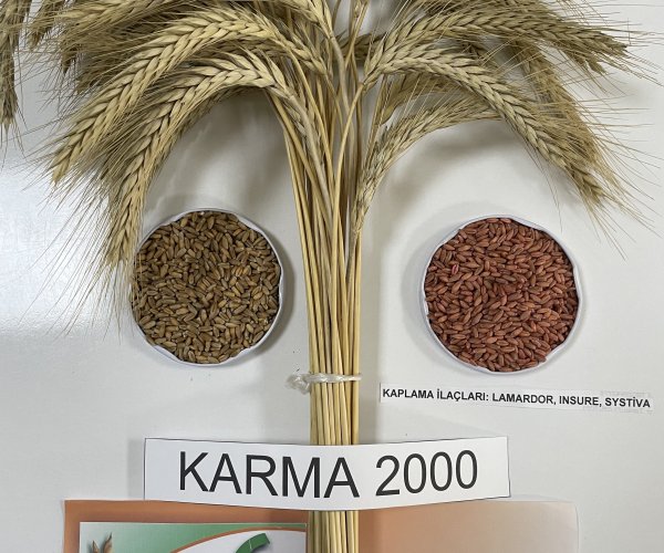 Karma-2000